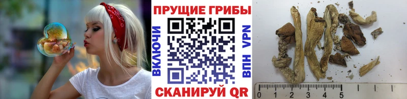 Галлюциногенные грибы Magic Shrooms  Одинцово 